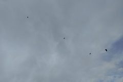 IMG_20210917_104428-scaled