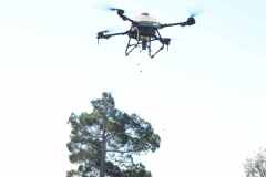 FB_IMG_1772202785527