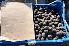 FB_IMG_1772202793079