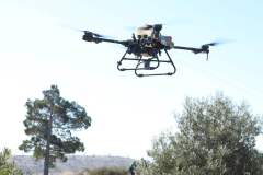 FB_IMG_1772202804911